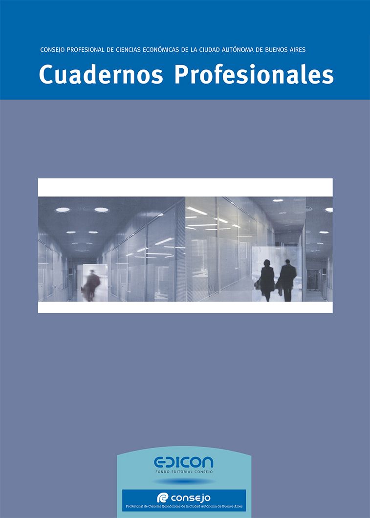 Cuaderno Profesional Nº 13