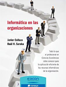 Informática en las org